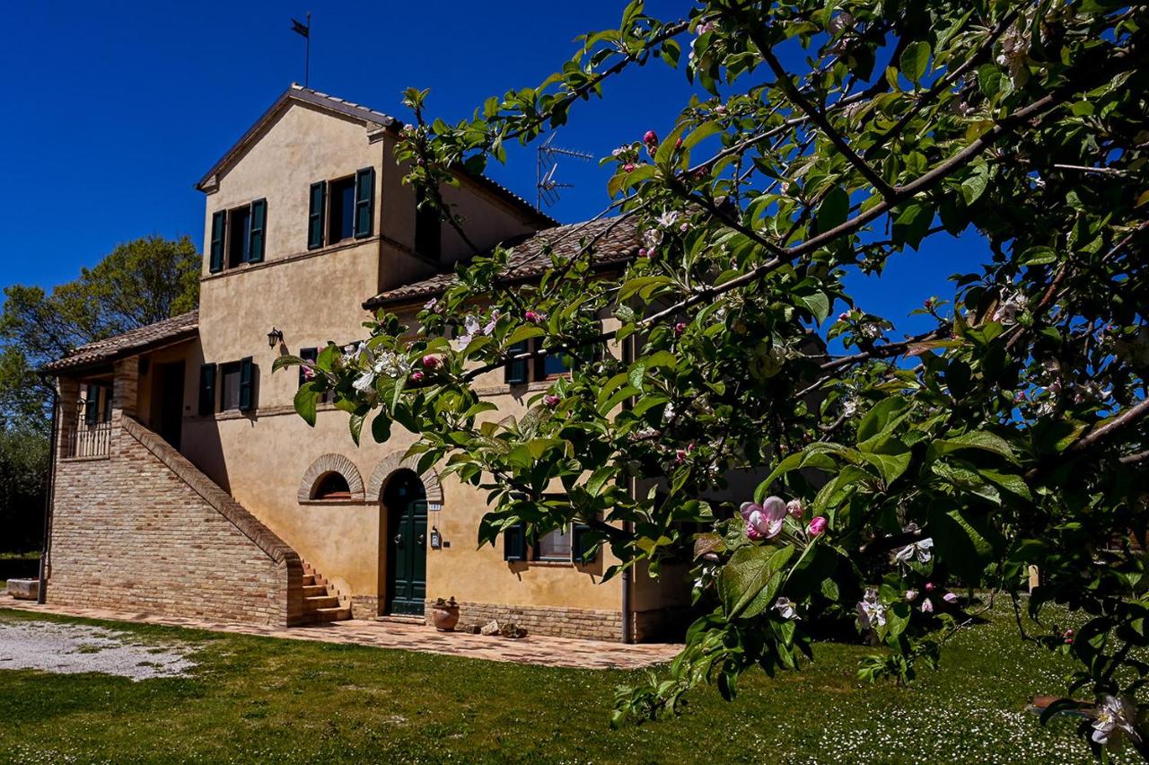 B&B Osimo - I Ciliegi - Bed and Breakfast Osimo