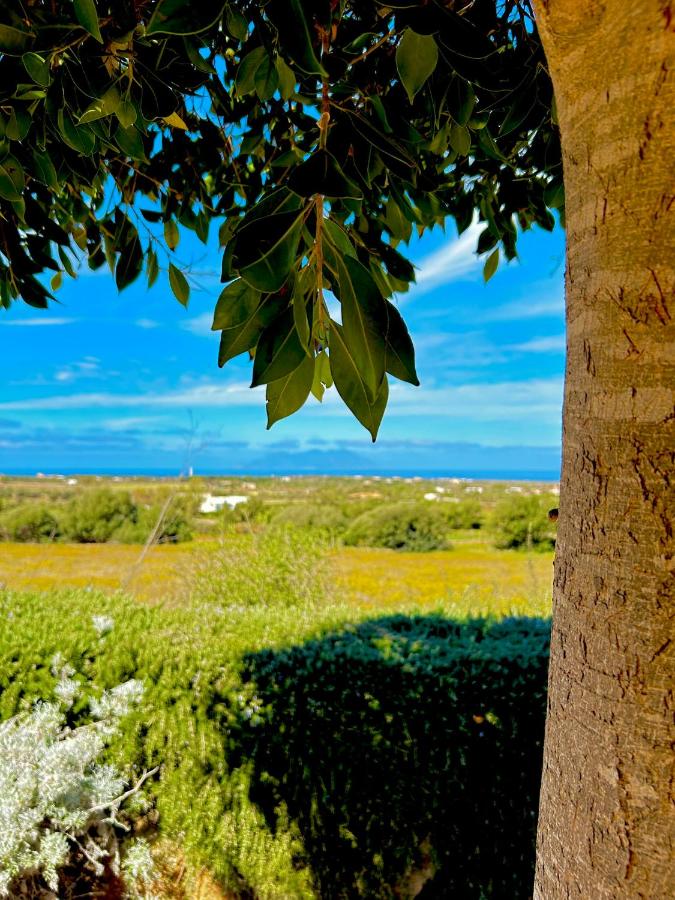 Alencio Panorama Residence - B&B Favignana