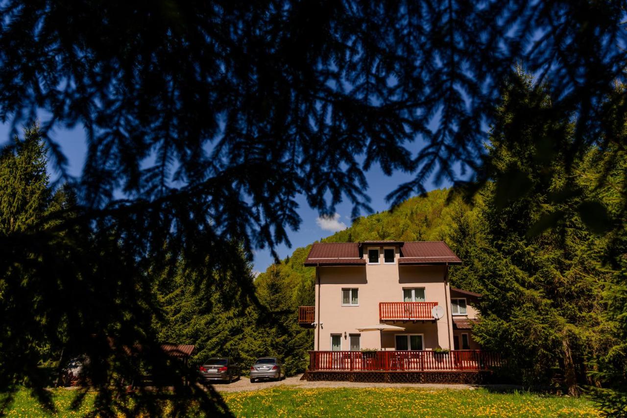 B&B Zarnesti - Cabana ZIP - Bed and Breakfast Zarnesti