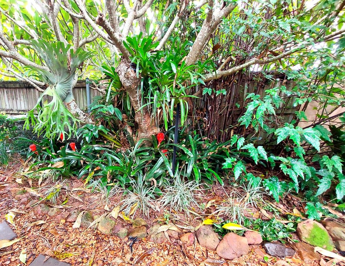 Front Apartment at the Cottage- 2 bedrooms - Geneva in Kyogle - Chambres d'hôtes Kyogle