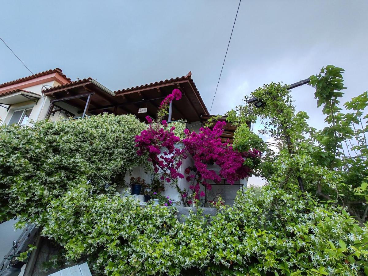 ELVAJO Apartment - Ferienwohnung Zacháro