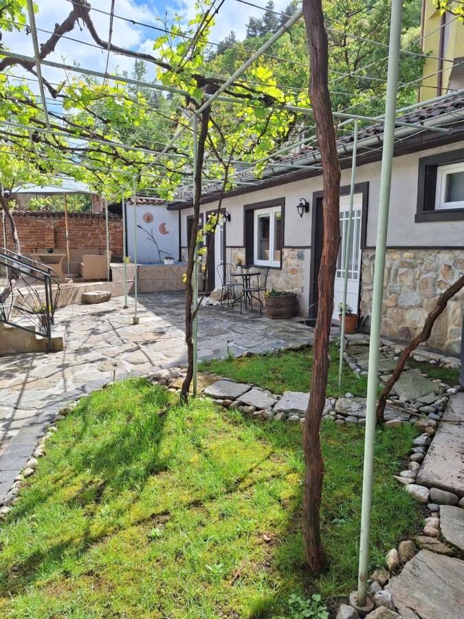 Studio mit Gartenblick