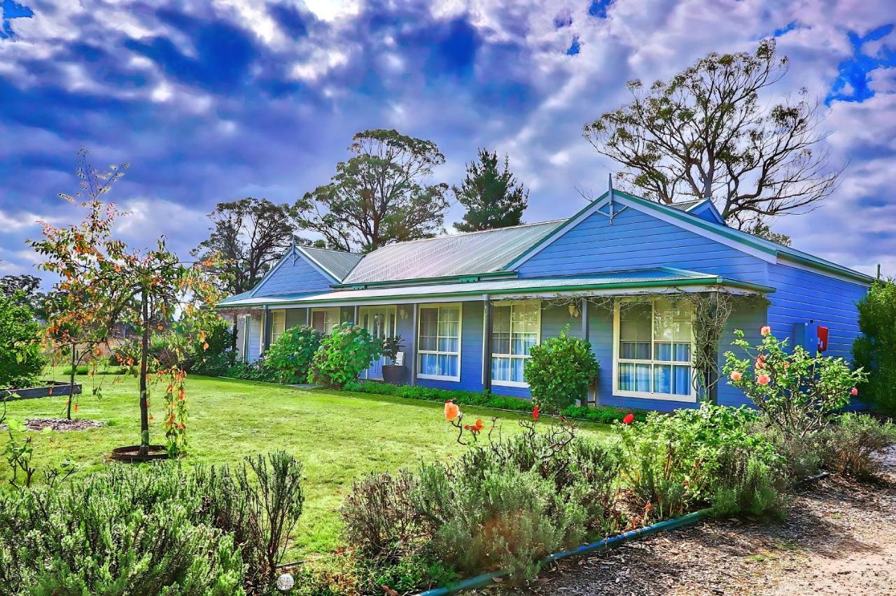 B&B Little Hartley - Marigold Cottage, A Blue Mountains Oasis- Spacious, Views & Kangaroos - Bed and Breakfast Little Hartley