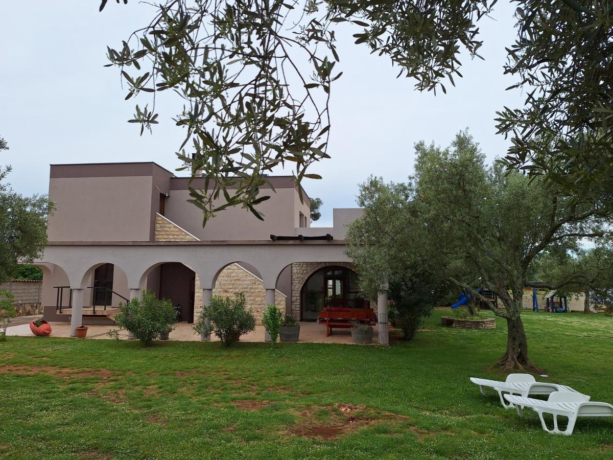 Apartment Olive Garden - B&B