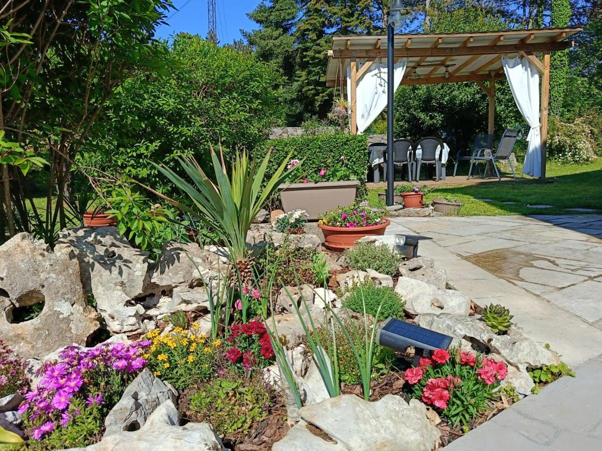 Residence Ruje - B&B