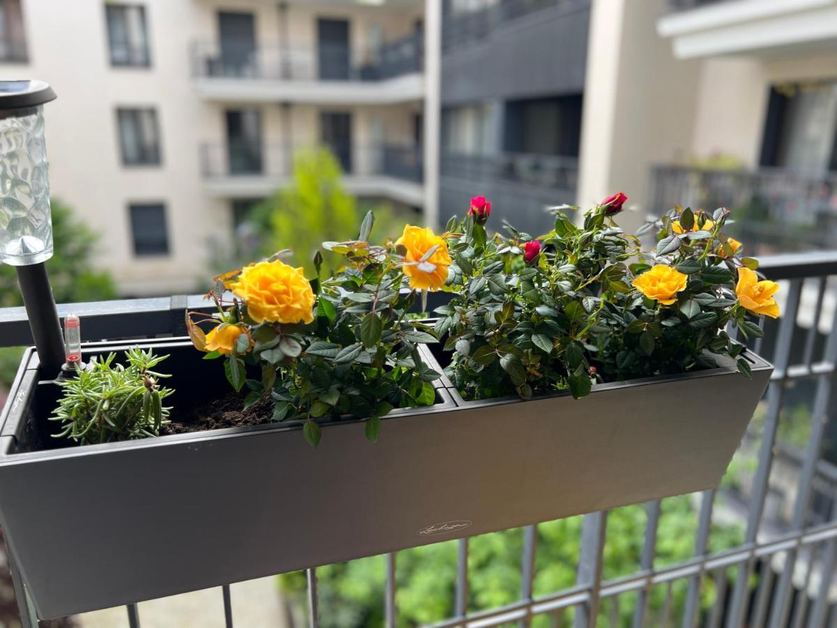 Sérénité totale : appartement ensoleillé - B&B