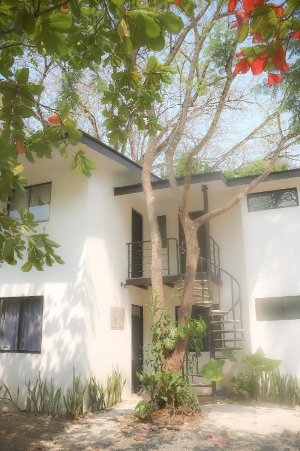 Vista Verde Surf & Studios - jungle View - B&B