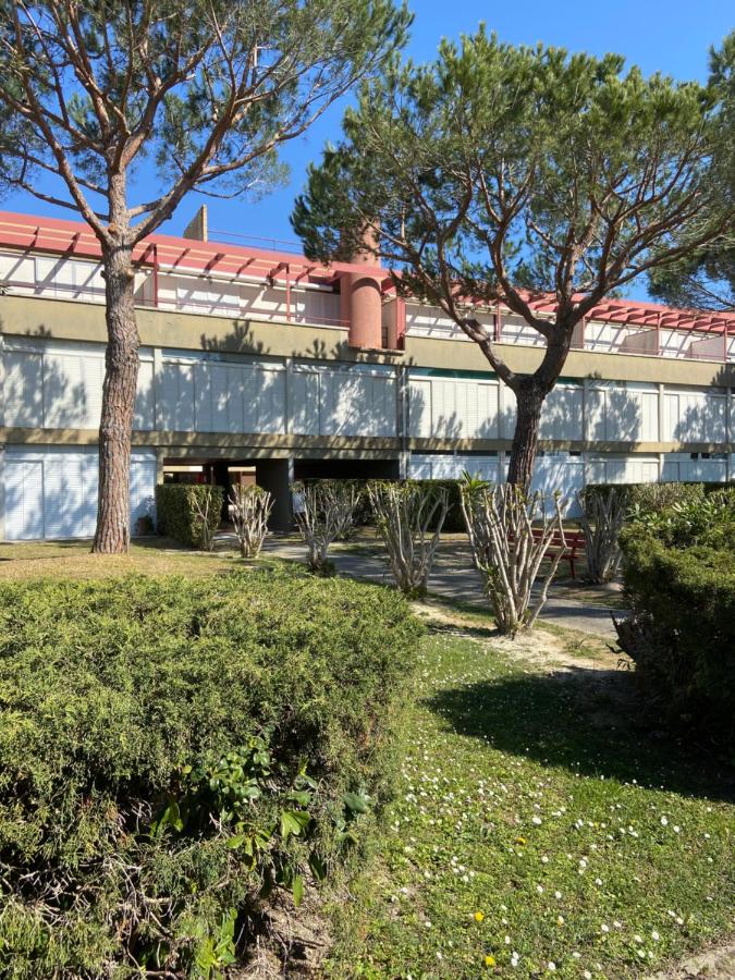 Premium Apartment Mono A1 - Ferienwohnung