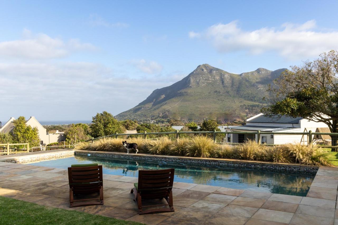 Serene, Thatched Apartment in Noordhoek, Cape Town - B&B Città del Capo