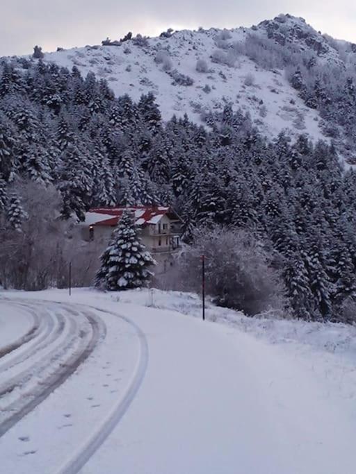 Δεσκάτη-Deskati apartment - Bed and Breakfast Deskáti