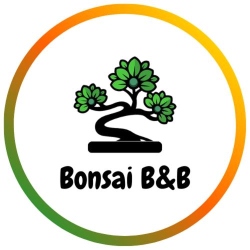 B&B Fiumicino - Bonsai Bed & Breakfast - Bed and Breakfast Fiumicino