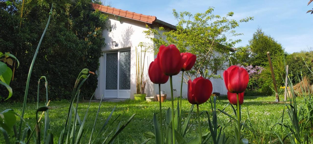 La Petite Maison - Chambres d’hôtes