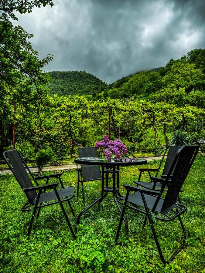 B&B Borjomi - Family hotel mountain panorama - Bed and Breakfast Borjomi