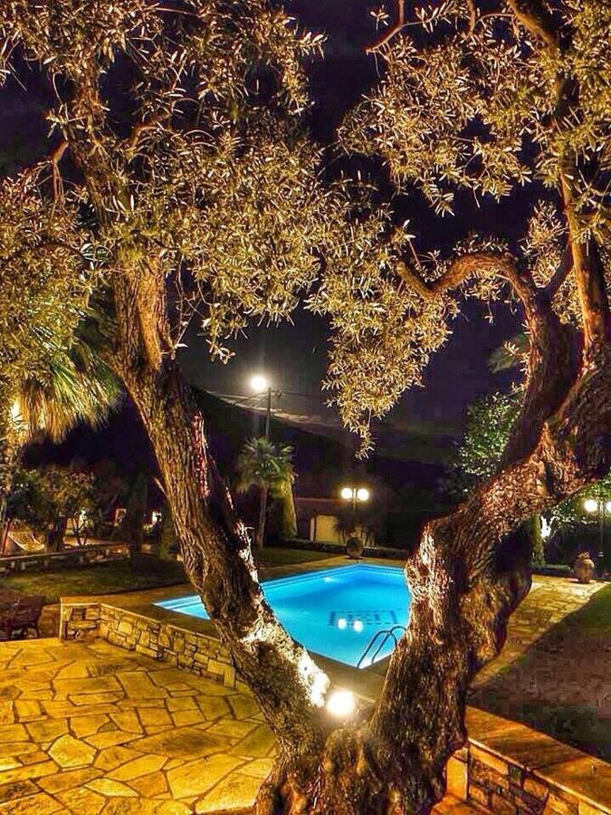 Villa Olive - B&B