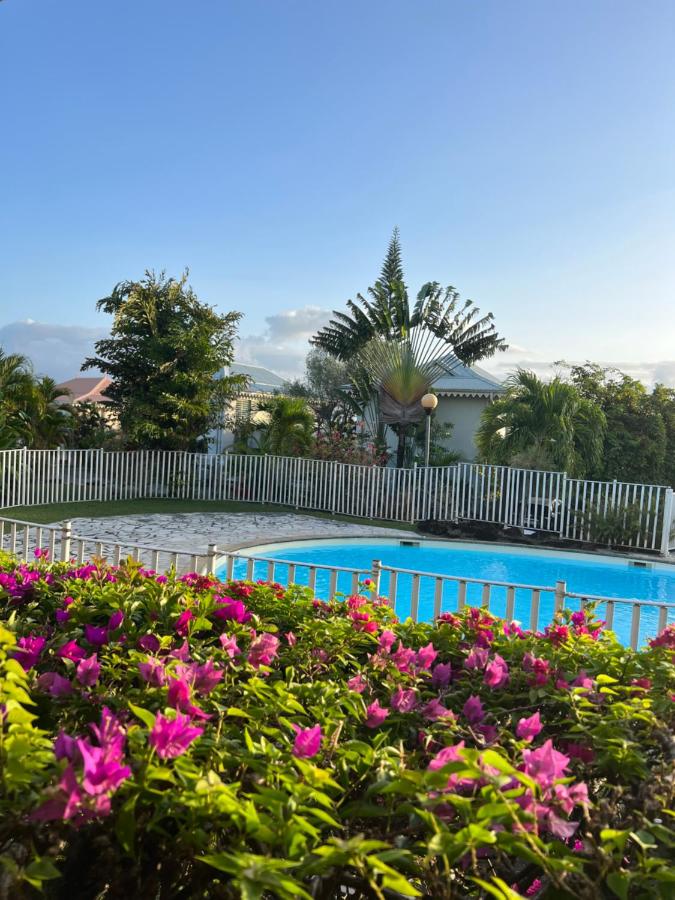 Appartement cosy Palm&Sable - B&B