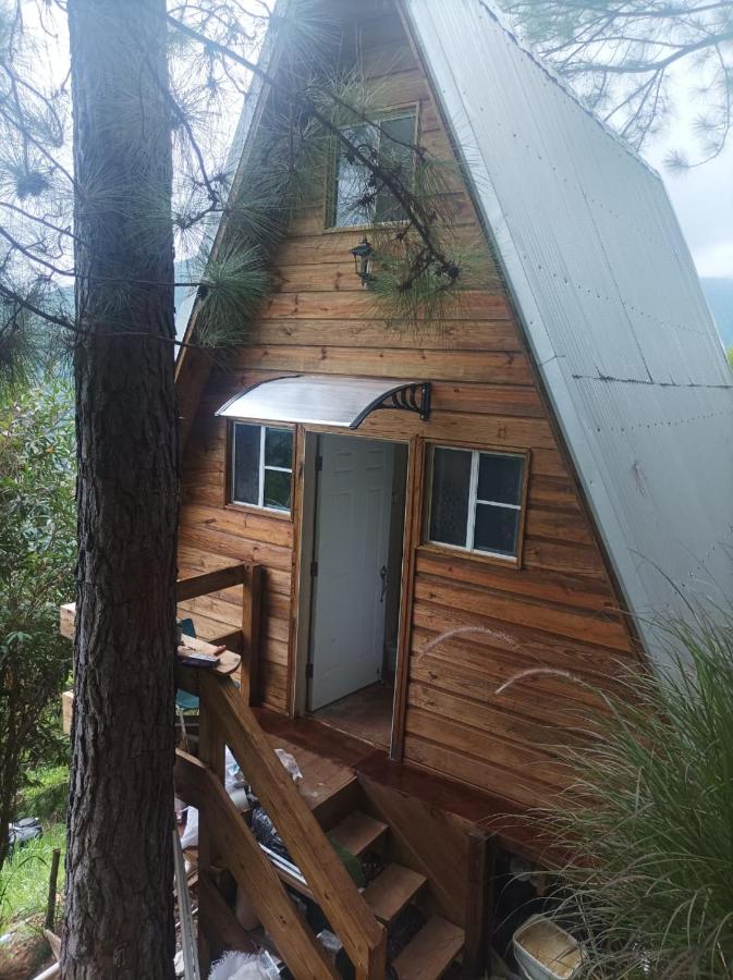 Ridge View Cottage Blue Mountain Wilderness Retreat - B&B