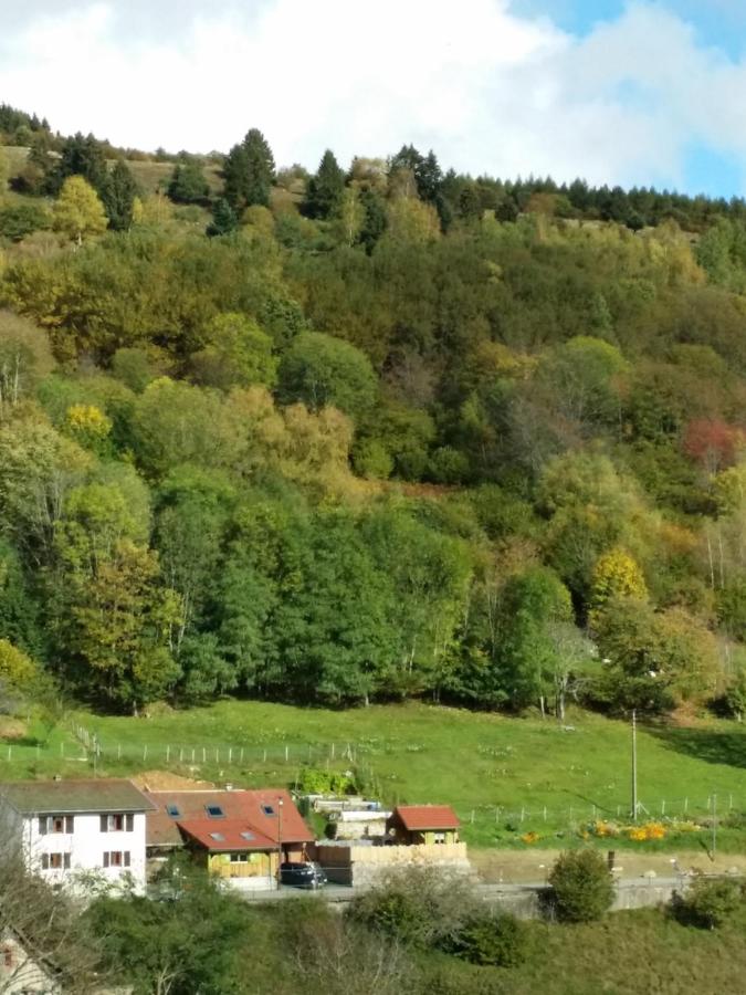 Dúplex