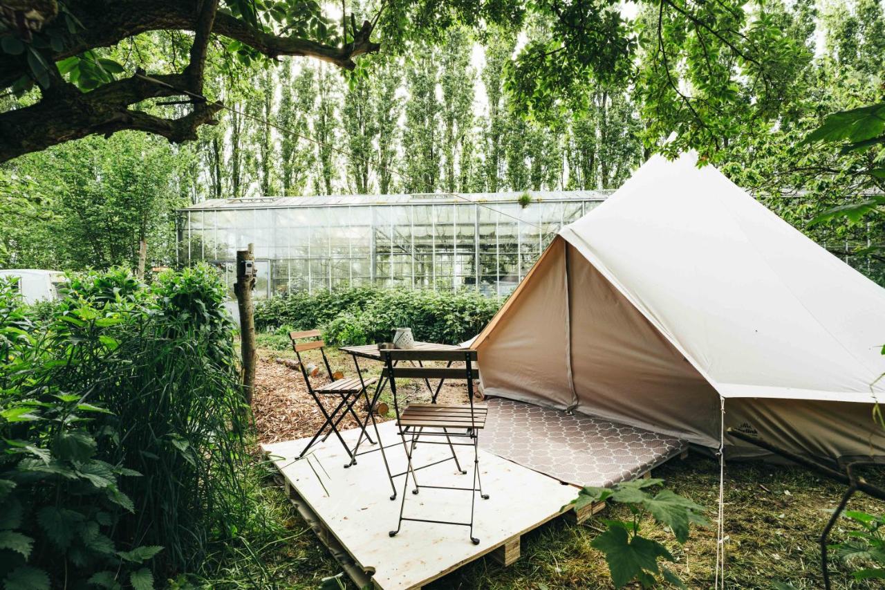 B&B Venhuizen - Luxe Glamping Tent in West-Friesland - Bed and Breakfast Venhuizen