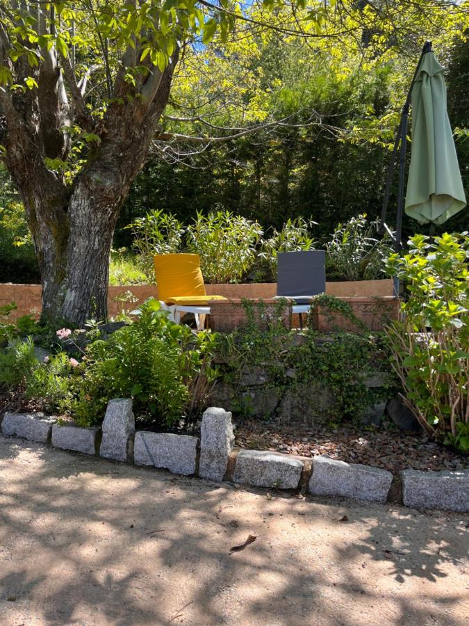 Mini villa de charme. - B&B Zonza