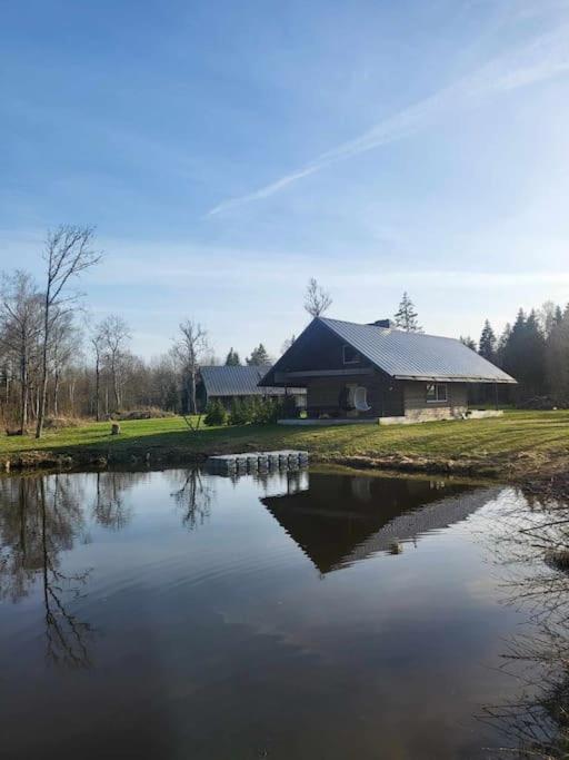 Kuuse metsamaja - B&B