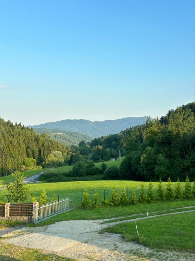 Dom wypoczynkowy z widokiem na LUBAŃ - Chambres d’hôtes Ochotnica Dolna