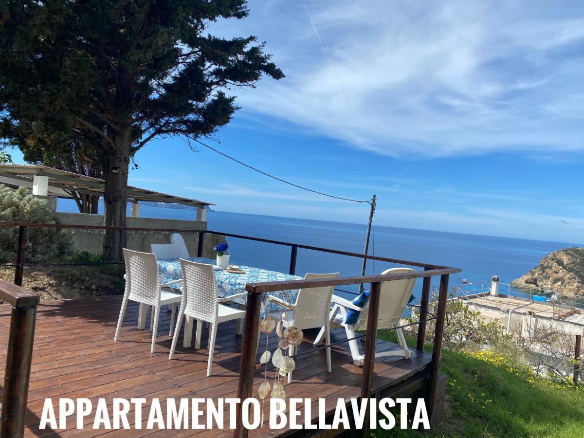 B&B Ponza - Ponzamania Appartamenti Ponza ,,Blumarine'' - Bed and Breakfast Ponza