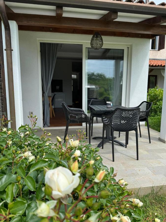 Apartament Sanja Novigrad - B&B
