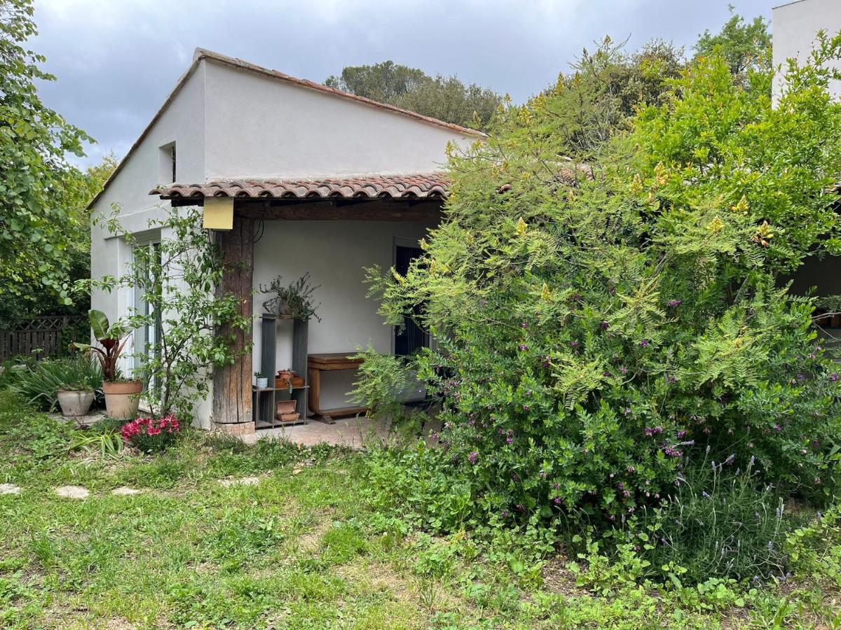 Charmante petite maison avec terrasse et jardin, proche tram - B&B Castelnau-le-Lez