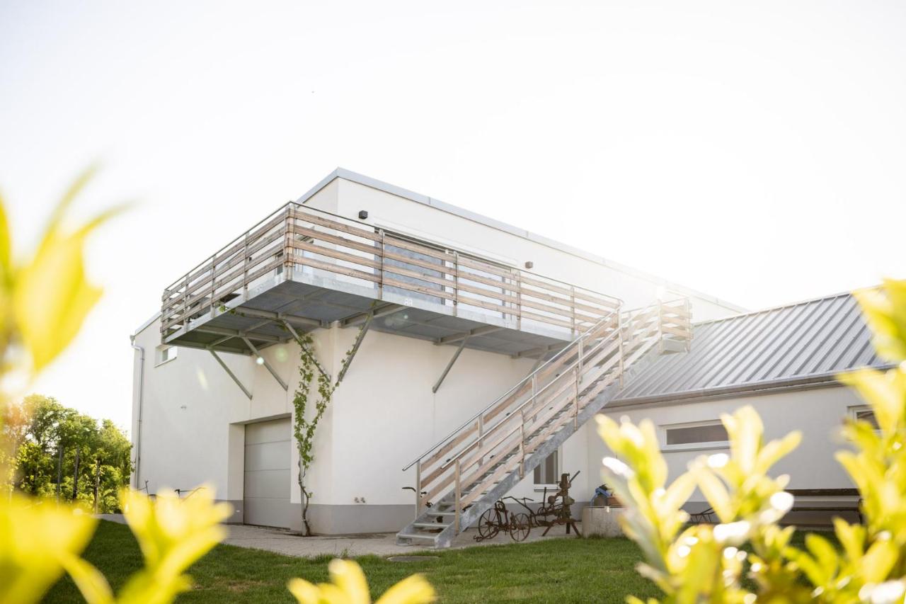 Ferienwohnung über dem Weingut Schüller - Ferienwohnung