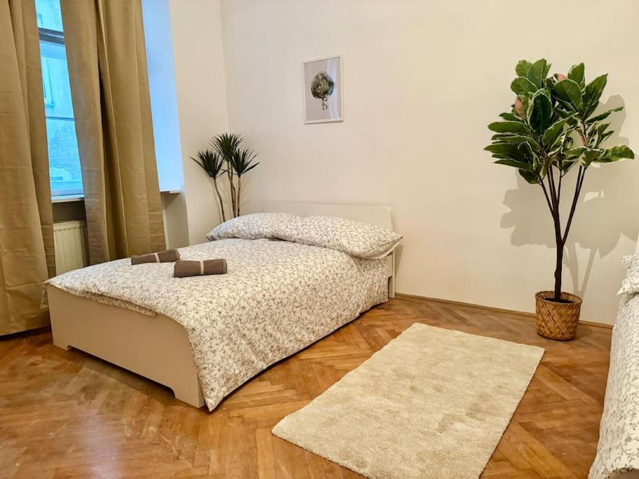 B&B Wien - 70 m2 Quiet & Calm Apartment with Free Parking - Bed and Breakfast Wien