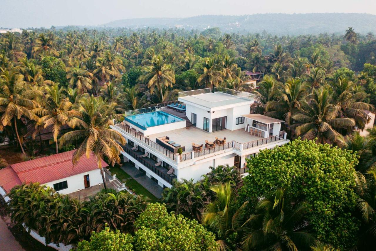 B&B Morjim - StayVista Ashore 6BHK Infinity Pool Ocean View- Morjim - Bed and Breakfast Morjim