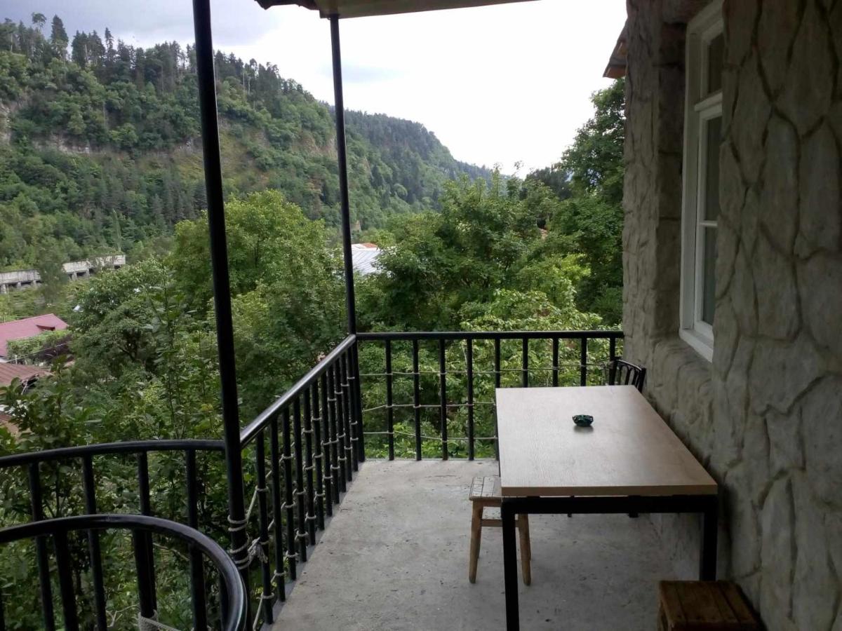 Guest house Liana - B&B Borjomi