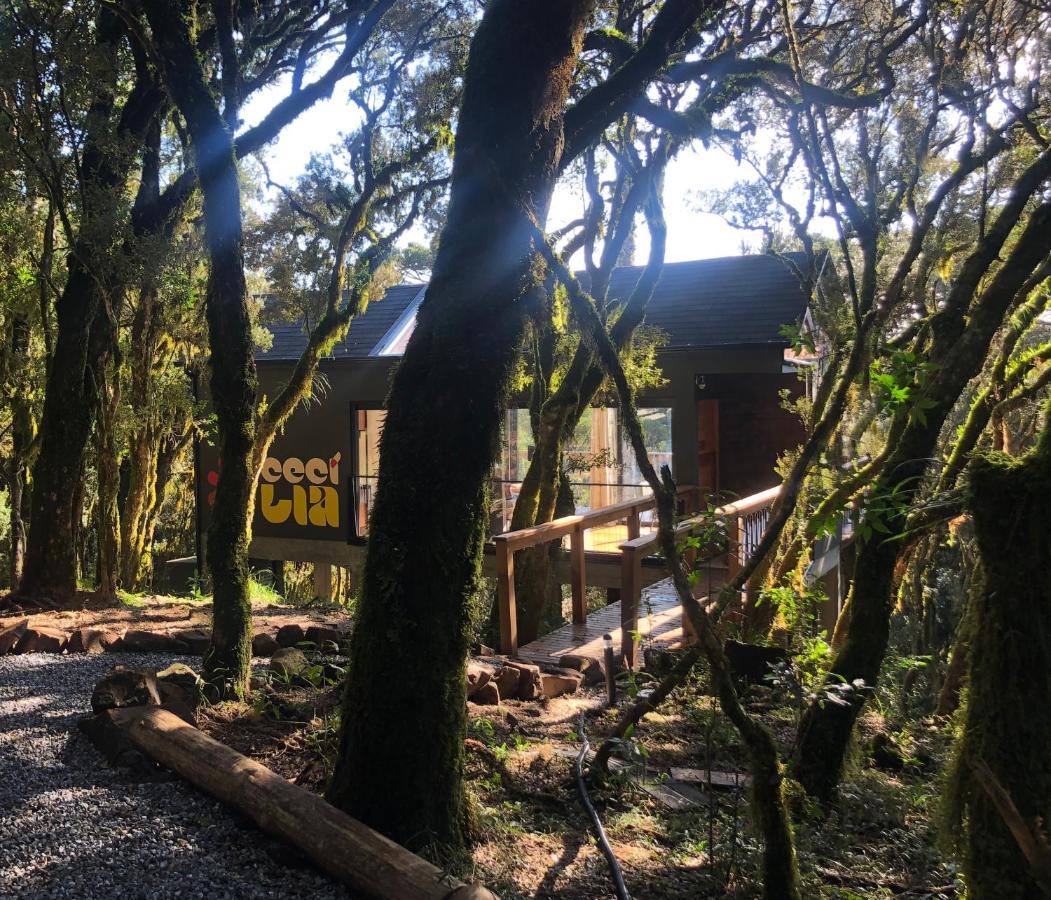 Casa na árvore com banheira de imersão e lareira - Ferienwohnung Urubici