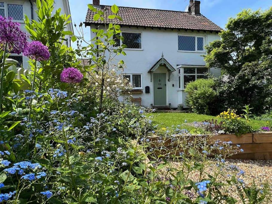 Charming Hedgehog Cottage with EV charger - B&B