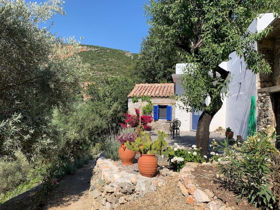 The Donkey House, Pragmatefti - B&B