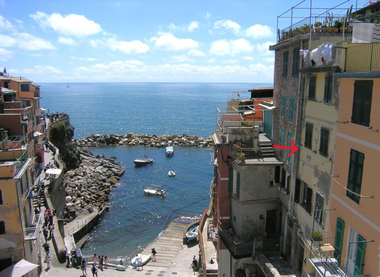 La tana di Grace - B&B Riomaggiore
