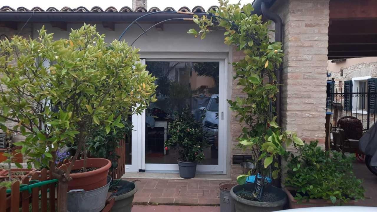 Il Borghetto - Ferienwohnung Pesaro