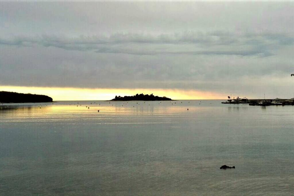 Stone Corner I Ruhiges Steinhaus mit Garten nahe Rovinj & Meer - B&B Rovinj