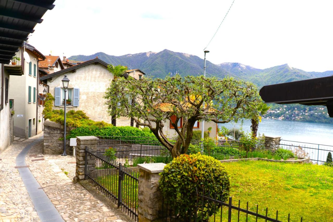 L' Asinello House wifi parking - B&B
