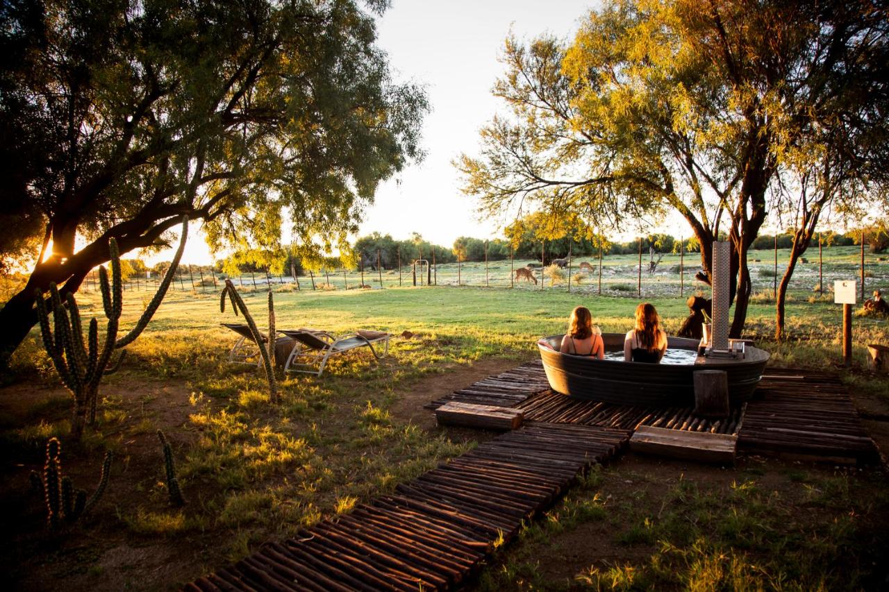Grootvallei Guest Farm - Main lodge - Chambres d’hôtes Boshof