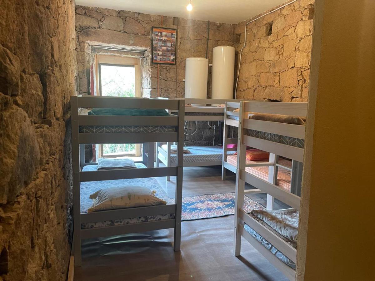 Bunk Bed in Mixed Dormitory Room