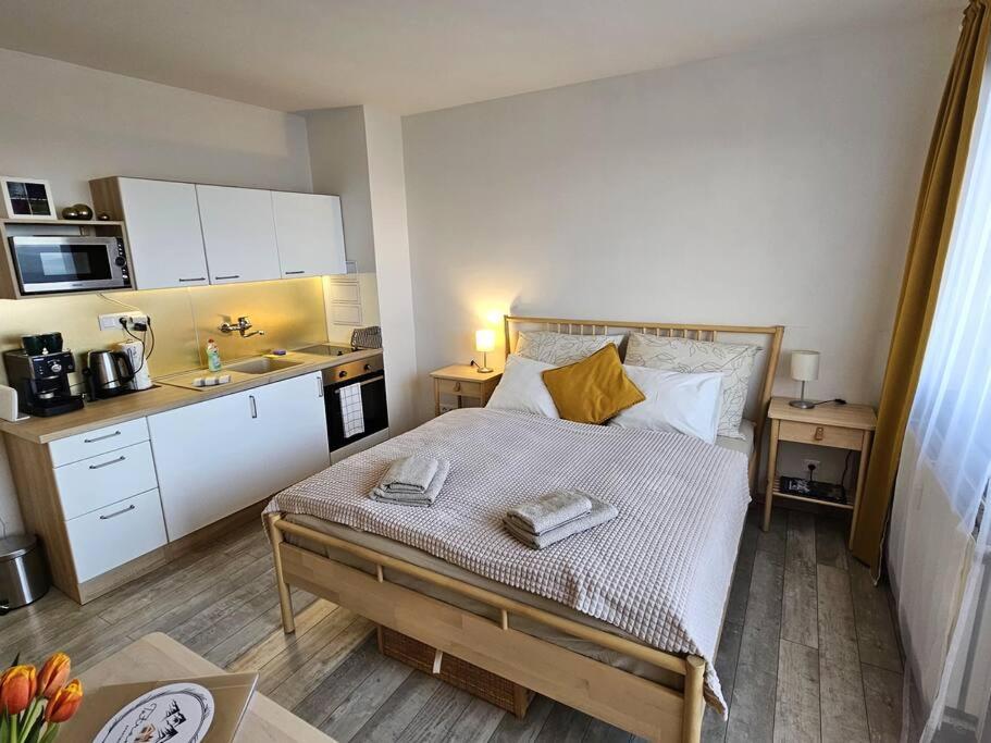 Appartement 1 Chambre