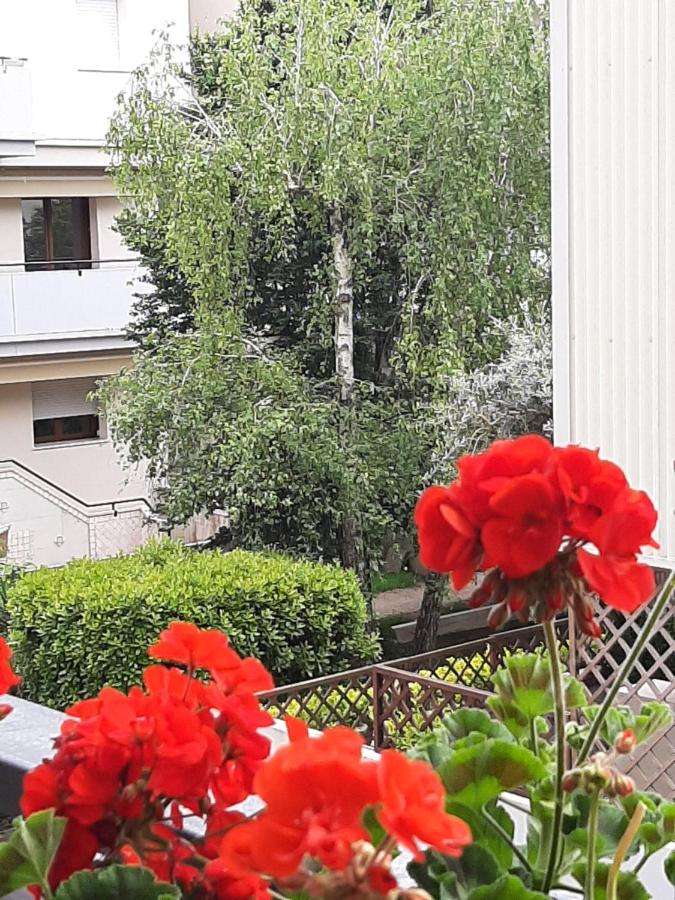 CASA DI IANA - Bed and Breakfast