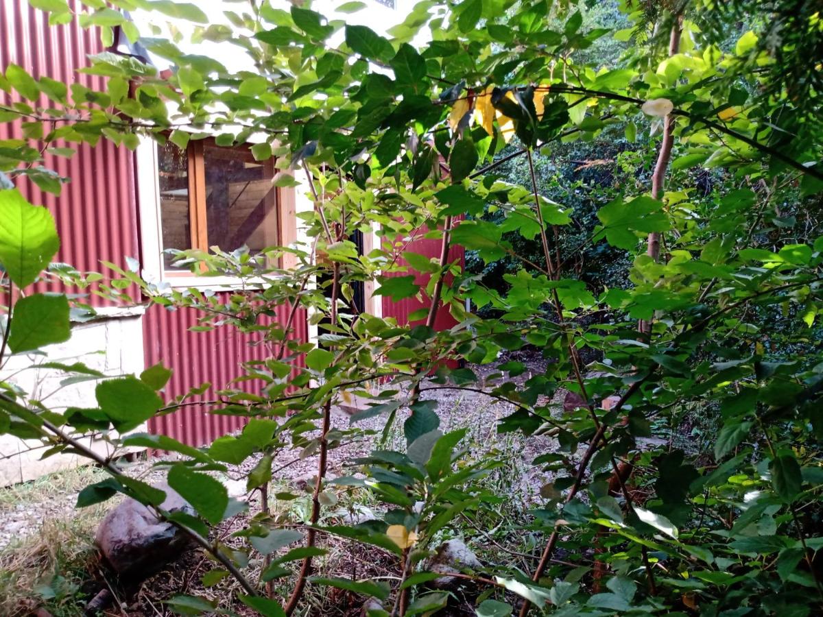 Cottage with Garden View