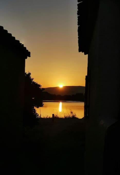 Juste au bout du chemin, l'étang - B&B