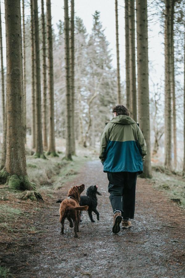 The Crossings Inn, Eco-friendly cabin in the Cumbrian countryside with heating and hot water - B&B Carlisle