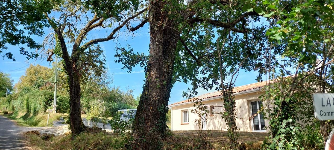 Villa Puycelsienne - B&B