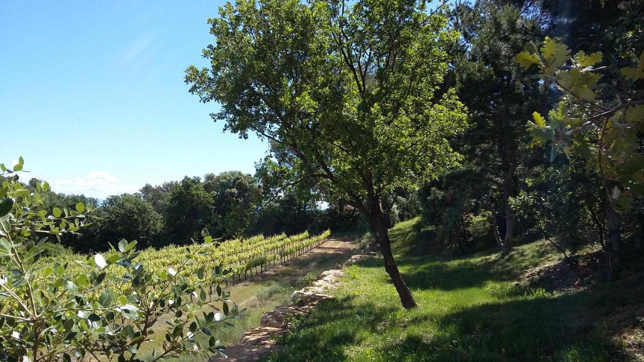 Gites Les Chrisalies - Bed and Breakfast