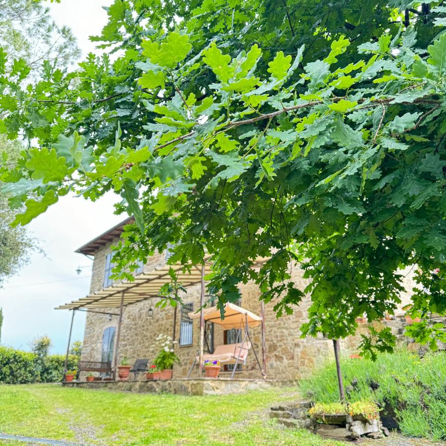 B&B Podere Cottimellino - Montalcino - Val d'Orcia - B&B