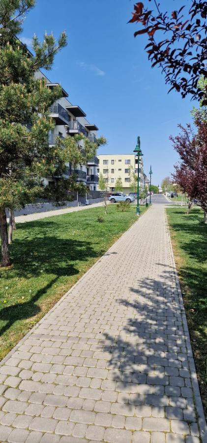 Amazing Apartament with Garden Bucharest Airport Self check-in!! - B&B Otopeni